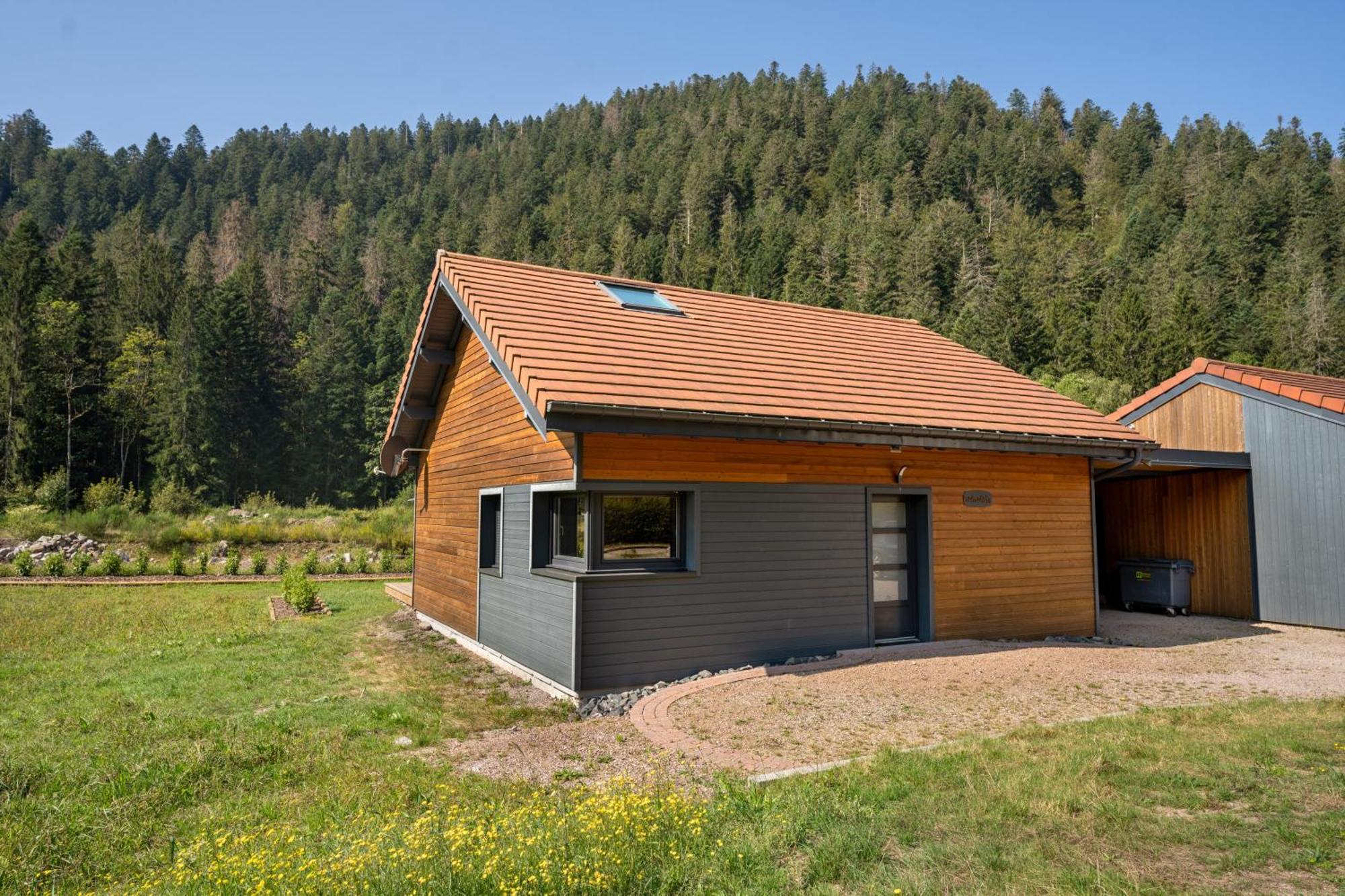 Chalet Nemesia Avec Spa A Жерарме Екстер'єр фото