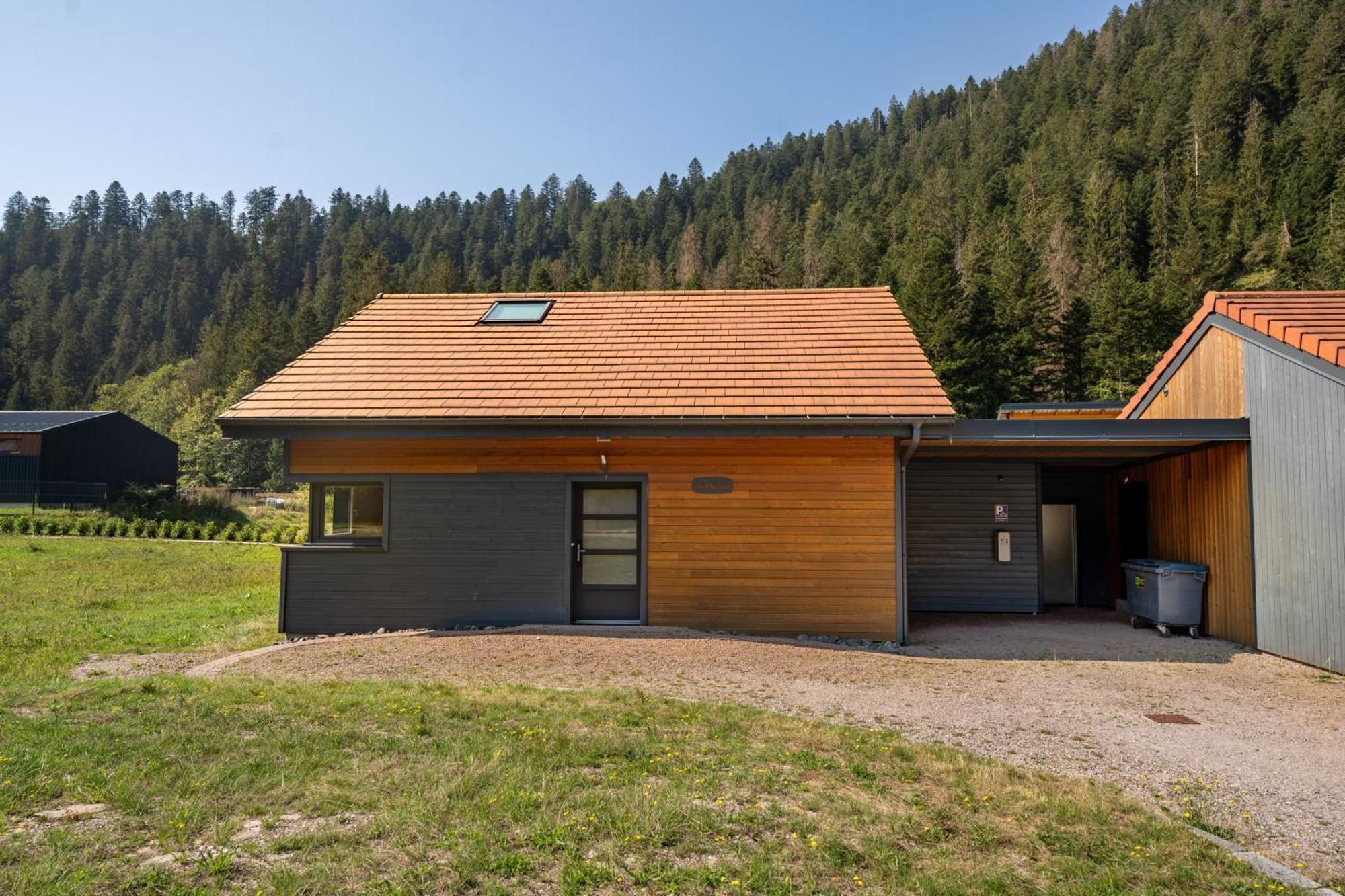 Chalet Nemesia Avec Spa A Жерарме Екстер'єр фото